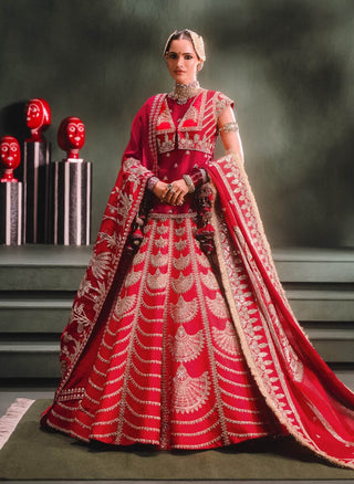 Red anar dana lehenga set