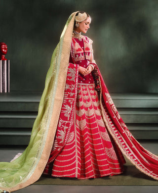 Red anar dana lehenga set