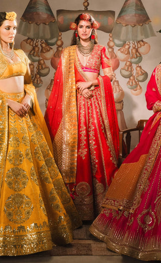 Red rooh afza lehenga set