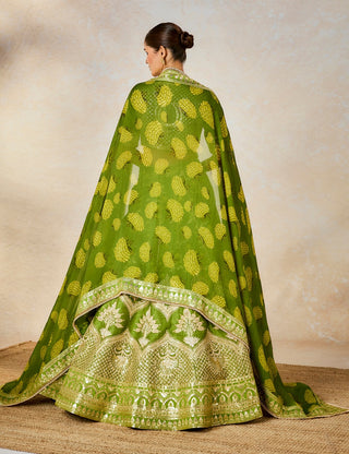 Olive soda shikanji lehenga set