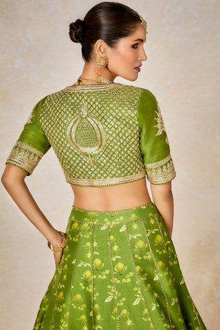 Olive soda shikanji lehenga set