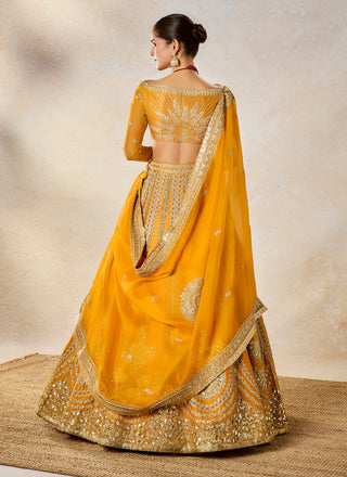 Imarti ochre lehenga set