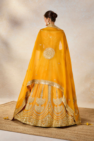 Imarti ochre lehenga set