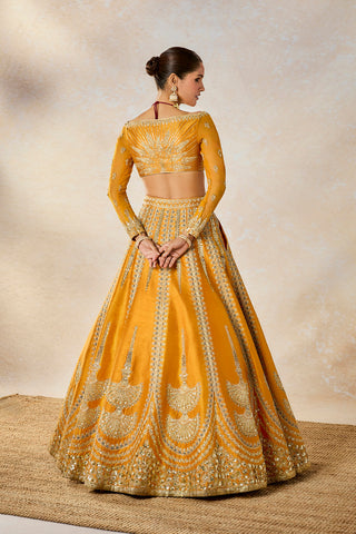 Imarti ochre lehenga set