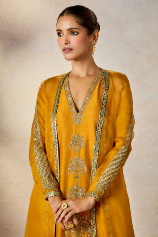 Ochre aam panna kurta set