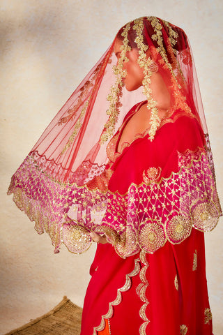 Gulab sherbet sari and veil set