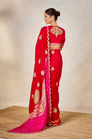 Gulab sherbet sari and veil set