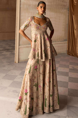 Amanbagh aged apricot sharara set