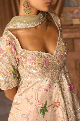 Amanbagh aged apricot sharara set