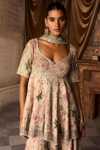 Amanbagh aged apricot sharara set