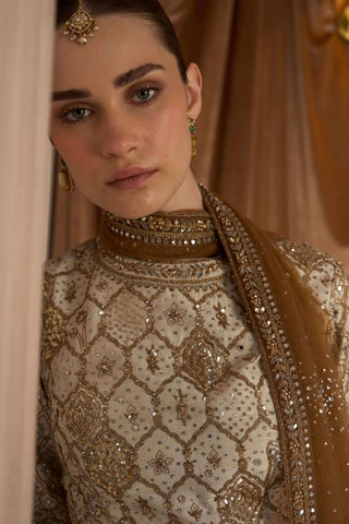 Lotus pond aged ekru sharara set