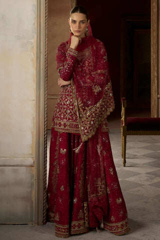 Birds of paradise scarlet sharara set