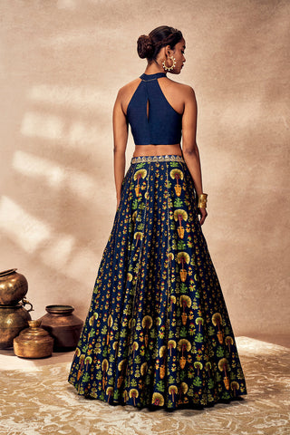 Blue nomadic tribe lehenga and blouse