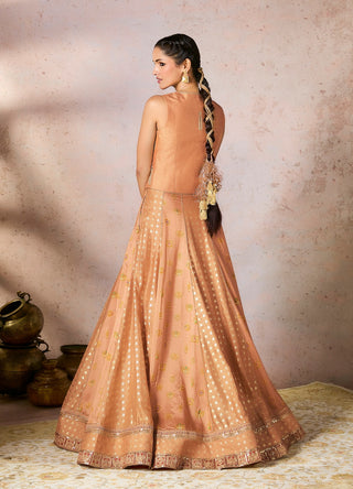 Salmon trinkets lehenga and blouse