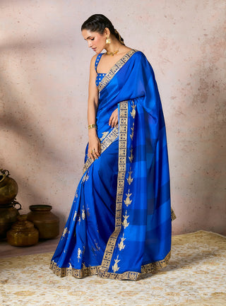 Blue mystic sari and blouse
