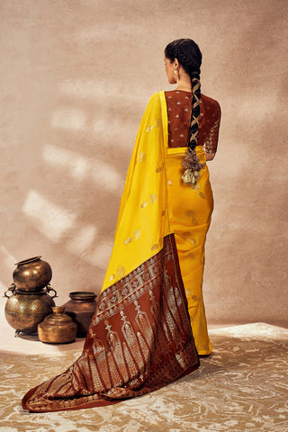 Brown and yellow jacquard sari and blouse