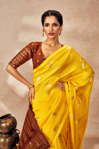 Brown and yellow jacquard sari and blouse