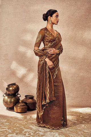 Brown madakal tissue sari and blouse