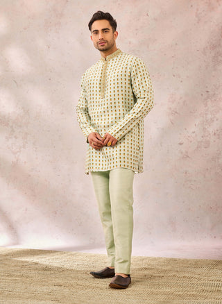 Kashni sage green kurta