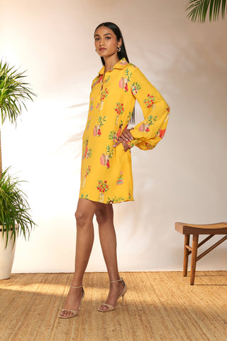 House Of Masaba-Yellow Tangy Tango Mini Collared Dress-INDIASPOPUP.COM