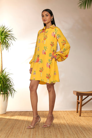 House Of Masaba-Yellow Tangy Tango Mini Collared Dress-INDIASPOPUP.COM