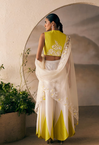 Yellow And Ivory Sharara Set by Madzin available on Indiaspopup.com