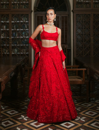 Red emma organza lehenga set