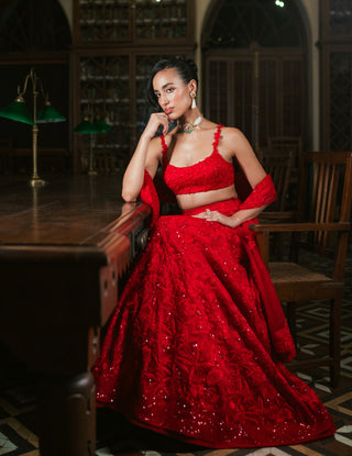Red emma organza lehenga set