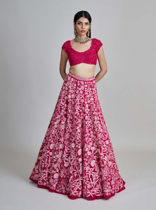 Celia fuchsia pink lehenga set