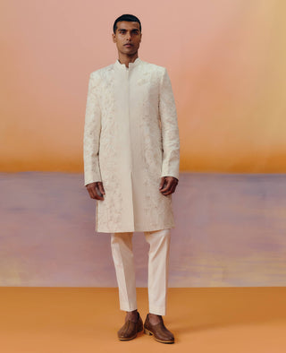Albie champagne sherwani set