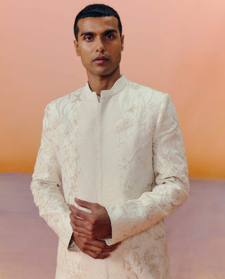 Albie champagne sherwani set