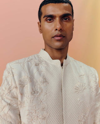 Albie champagne sherwani set