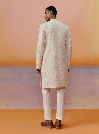 Albie champagne sherwani set