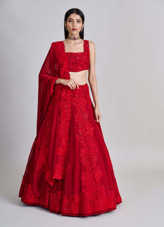 Roselle red kali lines lehenga set