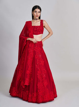 Roselle red kali lines lehenga set