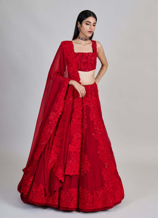 Roselle red kali lines lehenga set