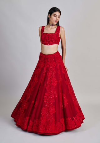 Roselle red kali lines lehenga set