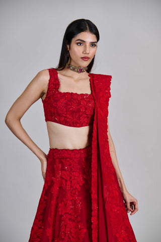 Roselle red kali lines lehenga set