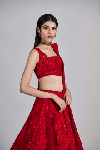 Roselle red kali lines lehenga set