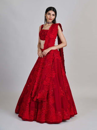 Roselle red kali lines lehenga set