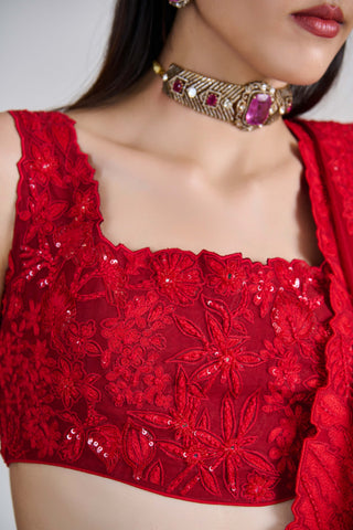 Roselle red kali lines lehenga set