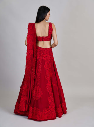 Roselle red kali lines lehenga set