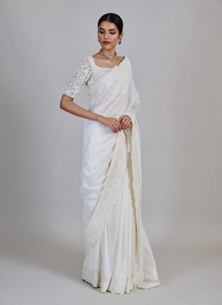 Rumi tonal cluster border sari and blouse