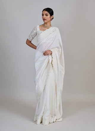 Rumi tonal cluster border sari and blouse
