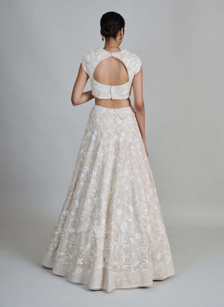 Emma ivory wildflower sequin gitch lehenga set