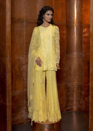 Canarie butter yellow kurta and flared pant set