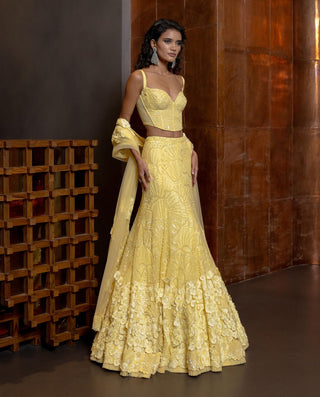 Heliora butter yellow lehenga set