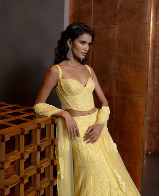 Heliora butter yellow lehenga set