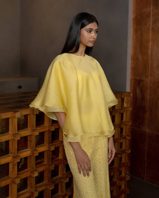 Citrine yellow flared pant and top