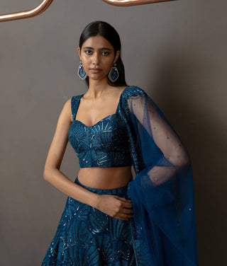 Noéla navy blue lehenga set